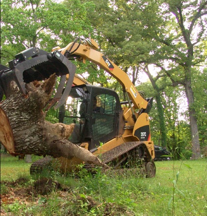 Tree Service Lancaster PA